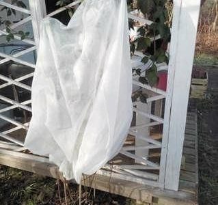 Flo Flo Kaptur Ochronny Dla Roślin 1,2×1,8M 89750 T89750