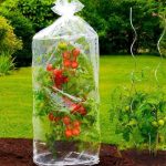 FOLIA RĘKAW MINI SZKLARNIA NA POMIDORY X 2ST WENKO
