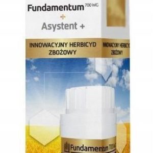 Fundamentum 700 WG 150g +Asystent 500ml