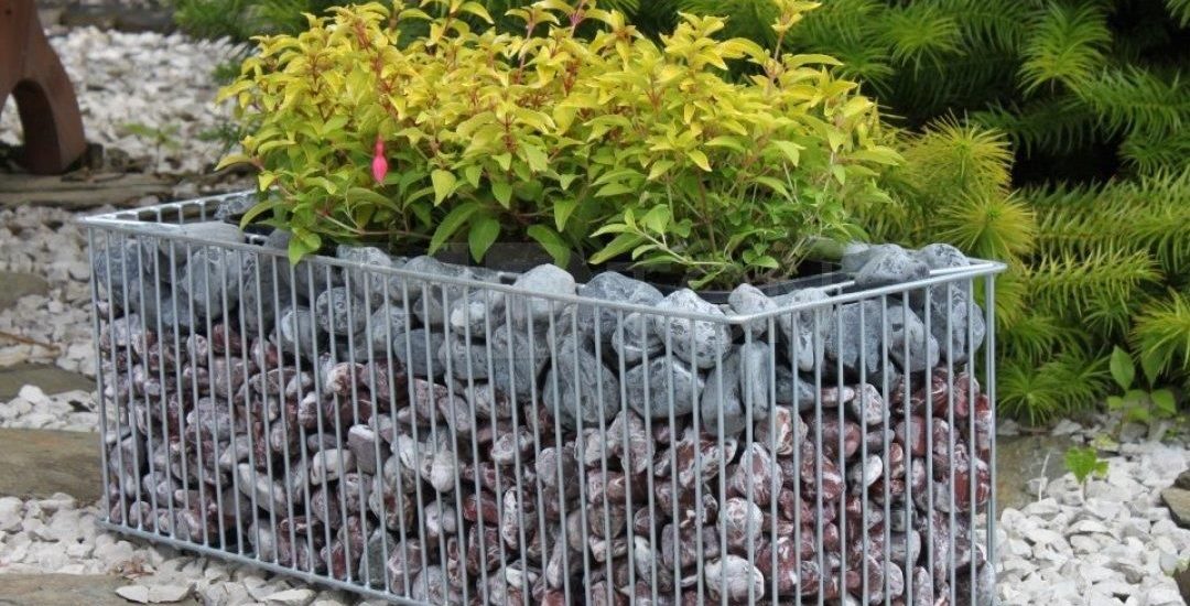 Gabionylemon Donica Gabionowa Gb5 Rozmiar L Wielki