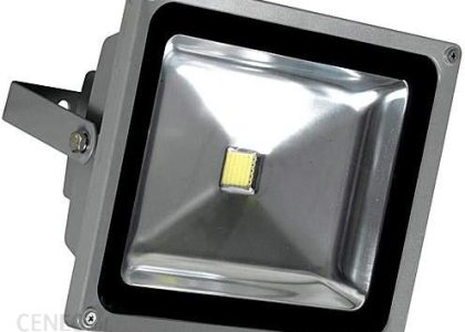 HALOGEN NAŚWIETLACZ 20W/230V biały ciepły (ok 3000k)