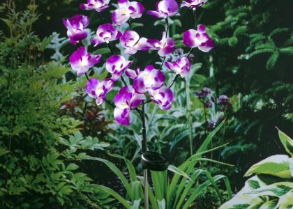 Hi Ogrodowa Lampka Solarna W Kształcie Orchidei 75cm