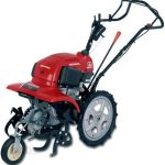 Honda Ff 300 De