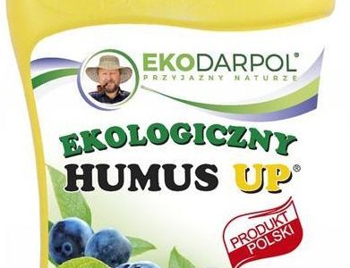 Humus Up Borówka 1L