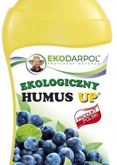 Humus Up Borówka 1L