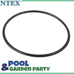 Intex Uszczelka do pomp z filtrem A 10325