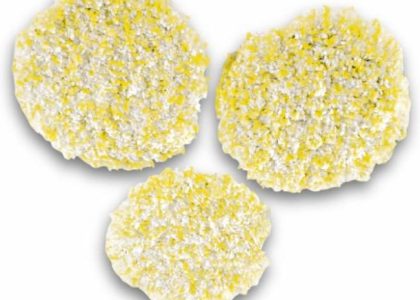 Karcher pady polerujące do kamienia/linoleum/PCV 2.863-198.0