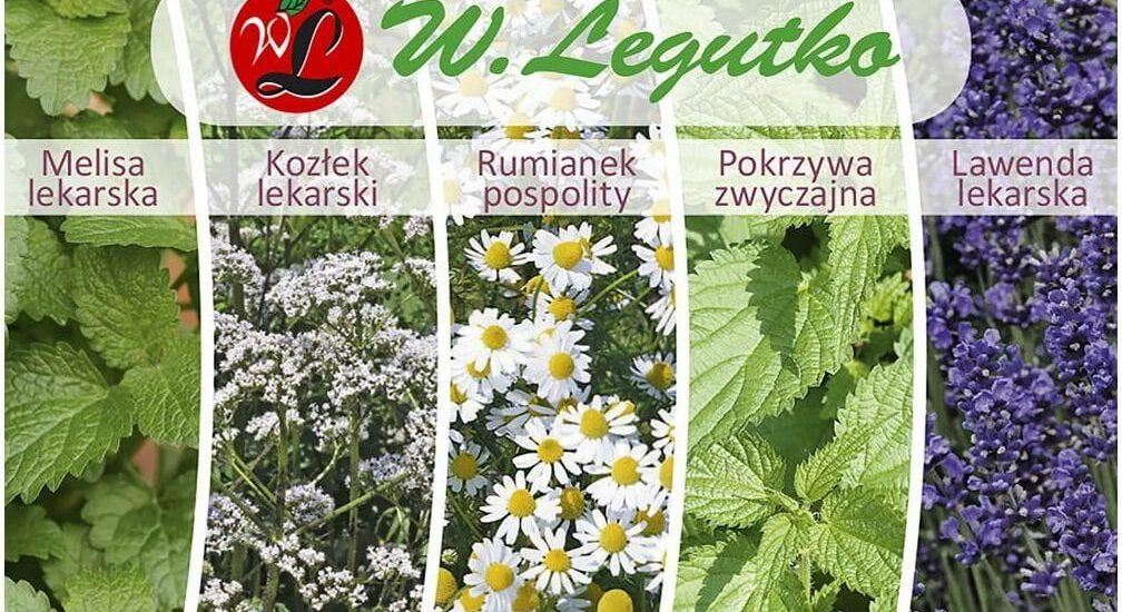 Kolekcja Ziołowy Relaks Nasiona Tradycyjne W.Legutko