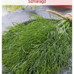 Koper Ogrodowy Szmaragd Nasiona Tradycyjne 5G W. Legutko