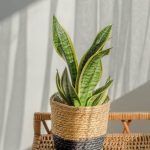 Kosz Osłonka Na Doniczkę Moroccan Czarny 20cm