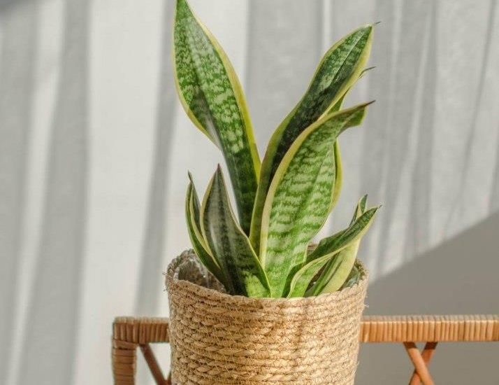 Kosz Osłonka Na Doniczkę Moroccan Czarny 20cm