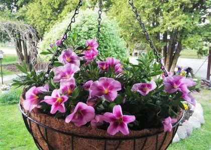 Kosz Wiszący Na Kwiaty Mata Kokosowa 35Cm