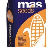 Kukurydza Mas 23.M C1 Maisadour Mas Seeds