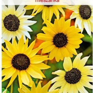 Kwiaty Polskie Słonecznik Ogórkolistny 1,00G