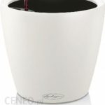 Lechuza CLASSICO COLOR LS 28x35cm biała (L-1420)
