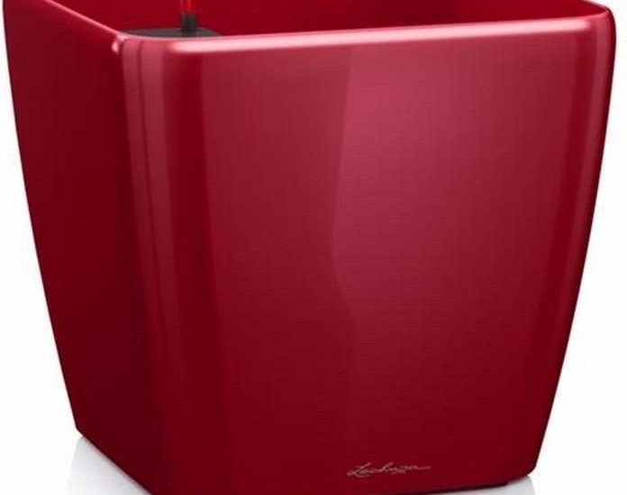 Lechuza Quadro Ls 21 Plastikowa Doniczka Samopodlewająca Czerwona