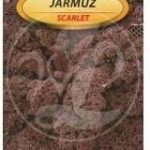Legutko Jarmuż Purpurowy Scarlet 1g