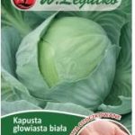 Legutko Kapusta Biała Fantazja – 100 Szt.