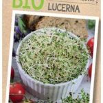 Legutko lucerna Bio