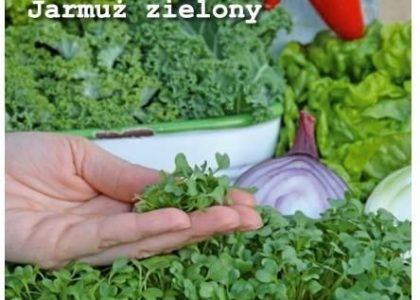 Legutko Microgreens Jarmuż 3G