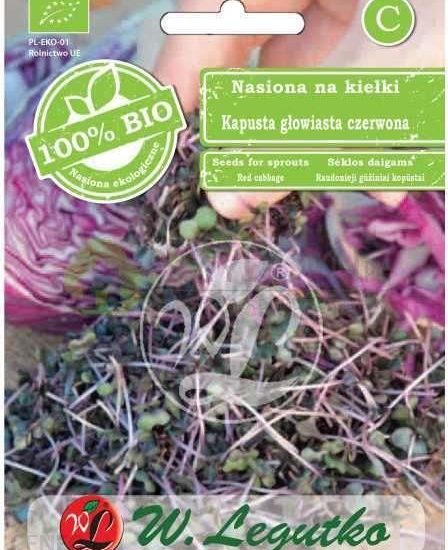 Legutko Nasiona Na Kiełki – Kapusta Czerwona Bio 10G