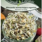 Legutko Nasiona na kiełki mieszanka wzmacniająca organizm 2941