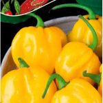 Legutko Papryka chińska Habanero Limon nasiona 0.15g