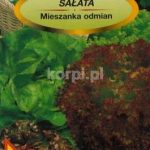 Legutko Sałata Mieszanka Odmian 1,5G