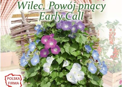 Legutko Wilec Podwójny Pnące Early Call 2.00G
