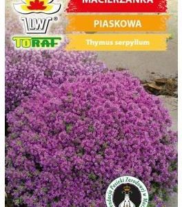 Macierzanka Piaskowa Nasiona Kwiatów 0,1G Toraf