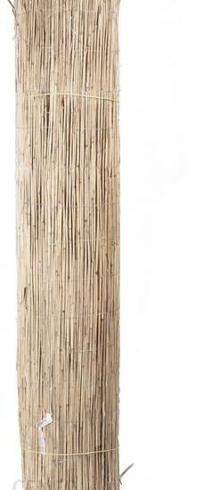 Mata trzcinowa na balkon 600 x 100 cm