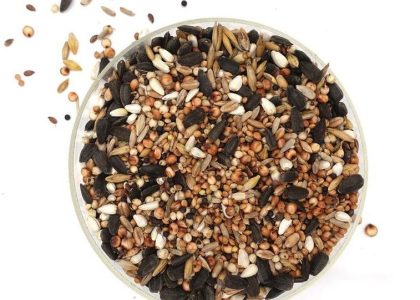 Mieszanka Drobna Dla Małych Ptaków – 1kg