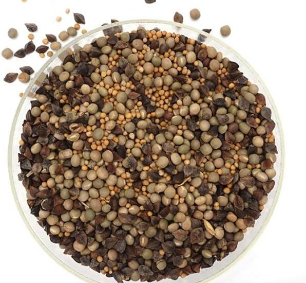 Mieszanka poplonowa WGG – 20 kg