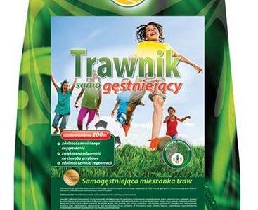 Mieszanka Trawnik Samogęstniejący 5Kg Pl112/63/115/G143