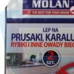 MOLAN Lep na Prusaki, Karaluchy 2 szt.
