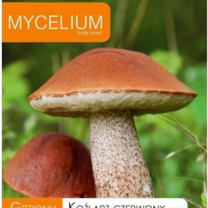 Mycelium Grzybnia Koźlarz Czerwony 10G