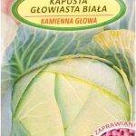 Nasiona Kapusta Głowiasta Biała Kamienna Głowa 2G