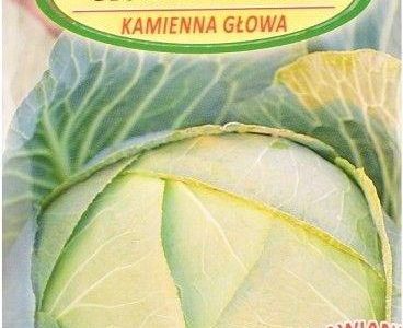 Nasiona Kapusta Głowiasta Biała Kamienna Głowa 2G
