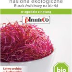 Nasiona Na Kiełki Burak Bio 20G