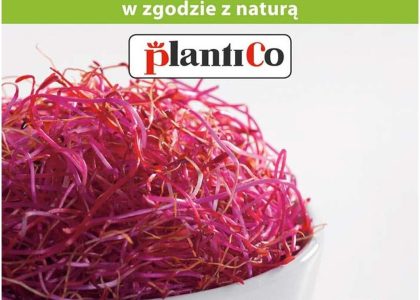 Nasiona Na Kiełki Burak Bio 20G