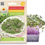 Nasiona Na Kiełki Jarmuż Czerwony 10G