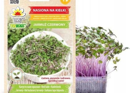 Nasiona Na Kiełki Jarmuż Czerwony 10G