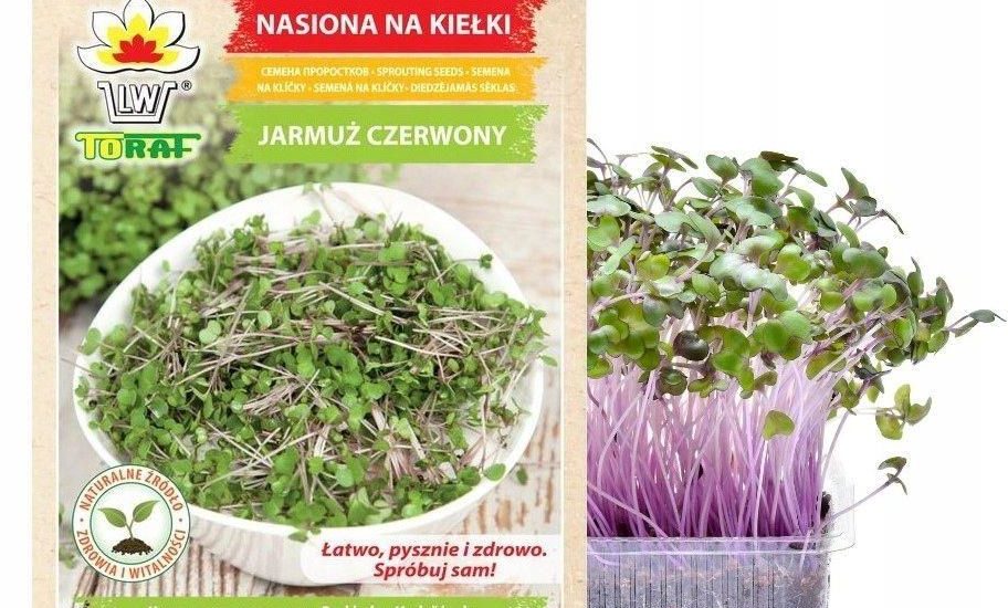Nasiona Na Kiełki Jarmuż Czerwony 10G