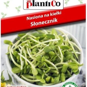 Nasiona Na Kiełki Słonecznik 40G Plantico