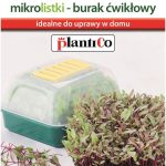 Nasiona Na Mikrolistki Burak 10G
