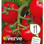 Nasiona Pomidor Moneymaker Verve