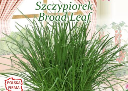 Nasiona Szczypiorek Broad Leaf, 2G