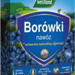 Nawóz Do Borówki Żurawiny Kwaśnolubne Rośliny 1Kg