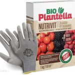 Nawóz Do Truskawek Malin Jeżyn 1Kg. Naturalny Nawóz Organiczny Bio Plantella.