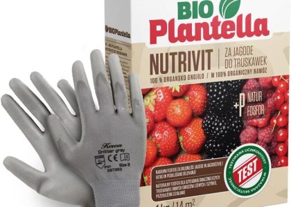 Nawóz Do Truskawek Malin Jeżyn 1Kg. Naturalny Nawóz Organiczny Bio Plantella.